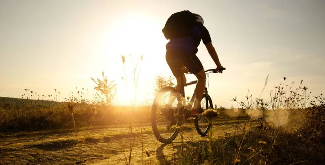 Trekingové bicykle